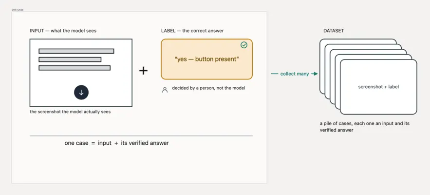 The Dataset