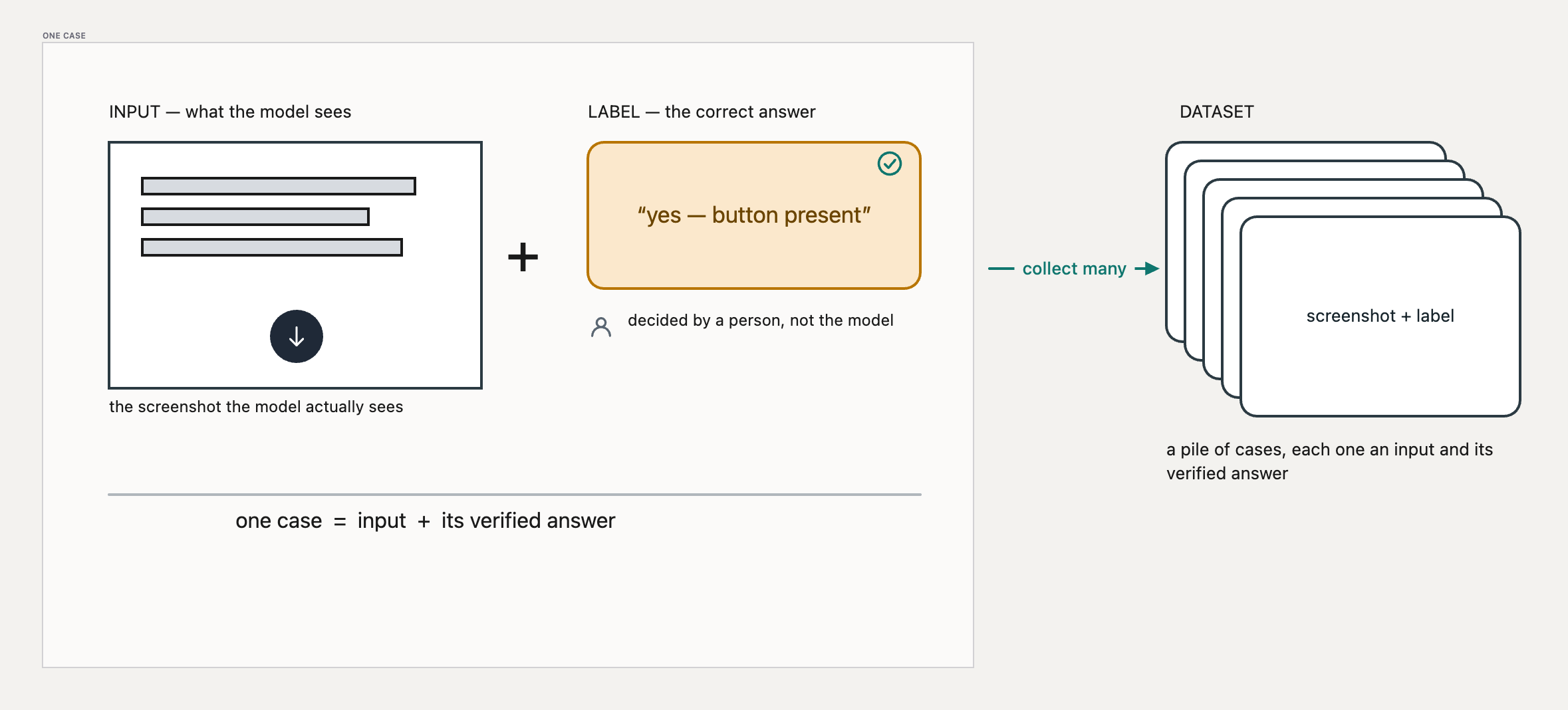The Dataset