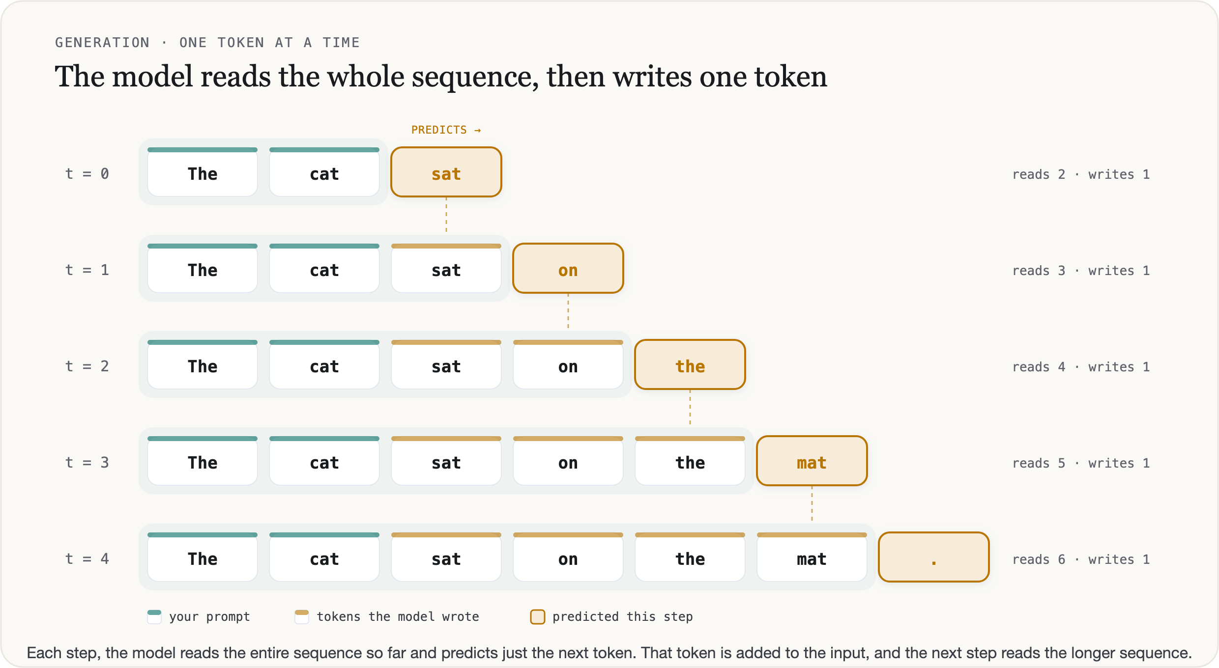 Five steps of generation, t=0 to t=4. At each step the model reads the whole sequence so far — starting from the prompt “The cat” — and predicts one more token (sat, on, the, mat, then a period). The predicted token is added to the input, so each step reads a longer sequence: reads 2 and writes 1, then reads 3 and writes 1, and so on.