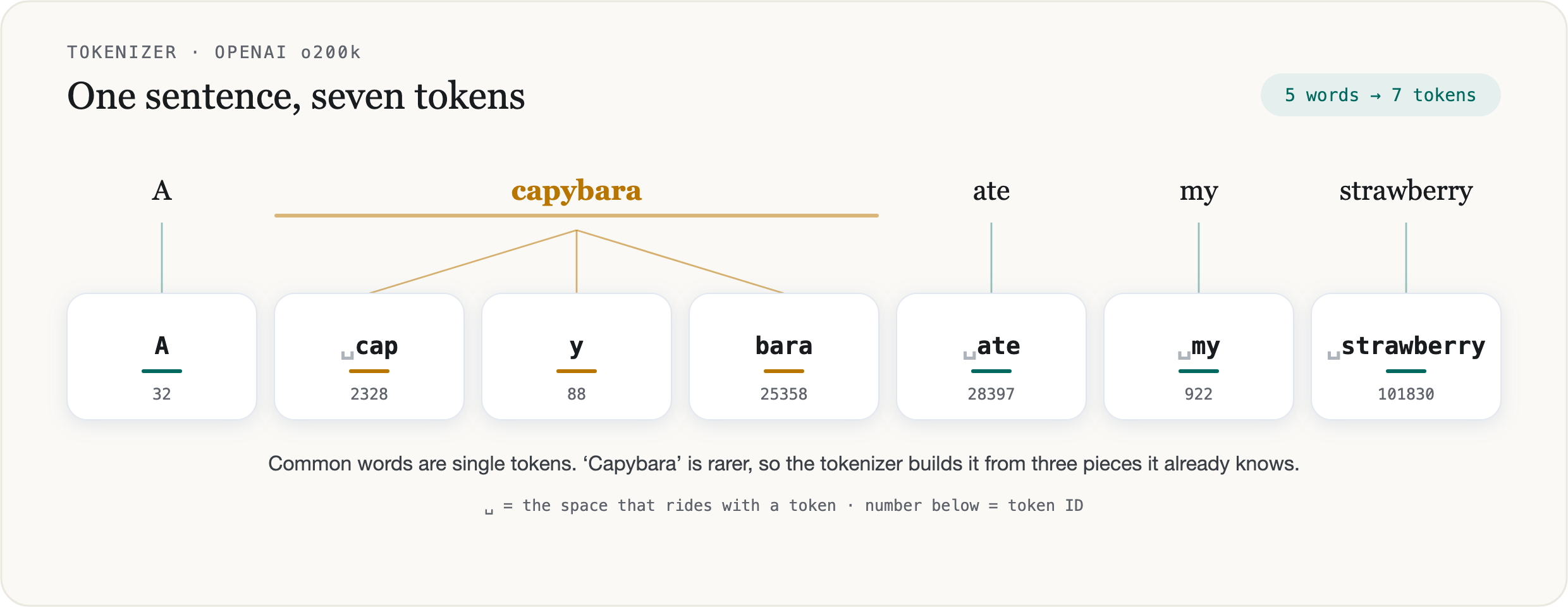 The sentence “A capybara ate my strawberry” split into seven tokens, each shown with its numeric ID. The common words A, ate, my, and strawberry are single tokens; the rarer word capybara fans out into three pieces: cap, y, bara.