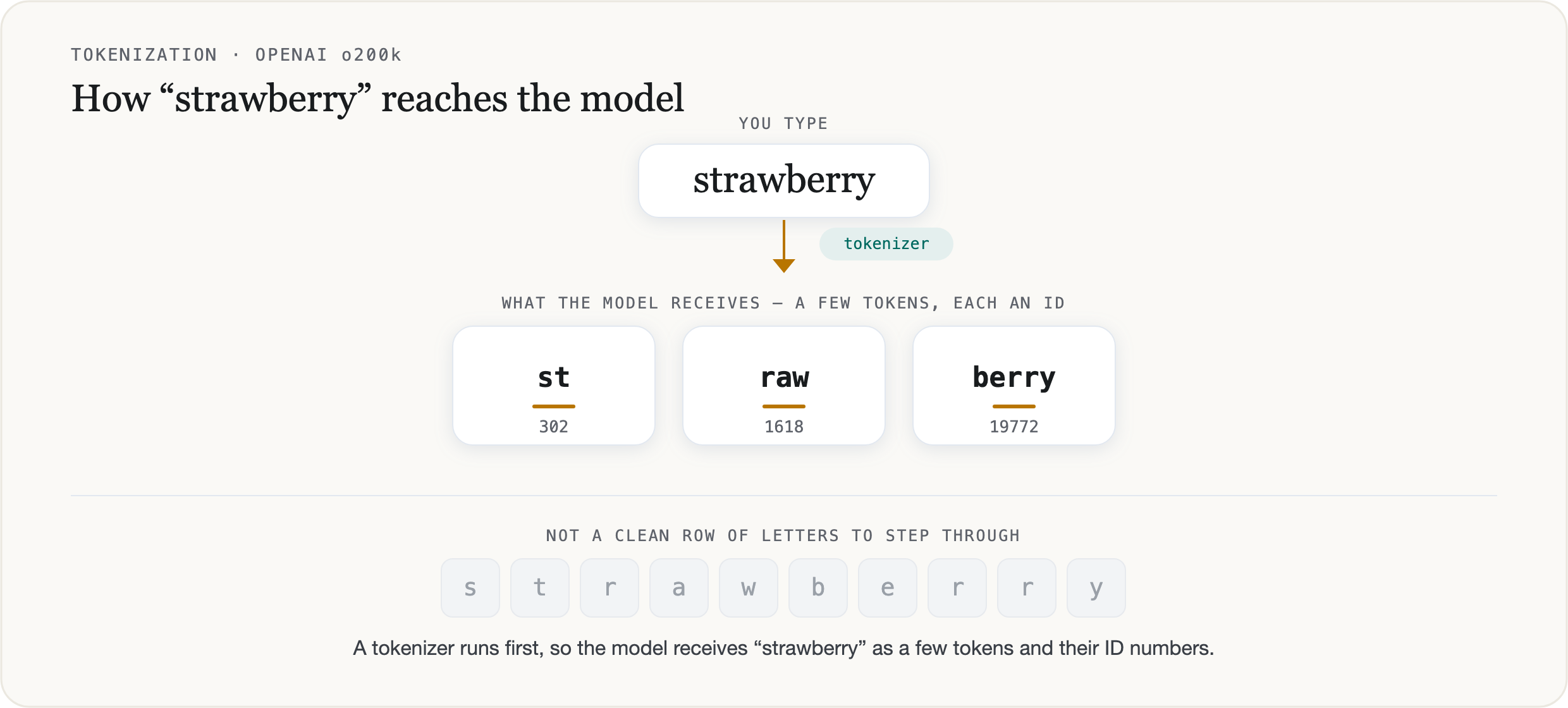 The word “strawberry” passes through a tokenizer and reaches the model as three tokens — st (302), raw (1618), berry (19772) — each mapped to an ID number, rather than the ten letters s-t-r-a-w-b-e-r-r-y laid out in a row.