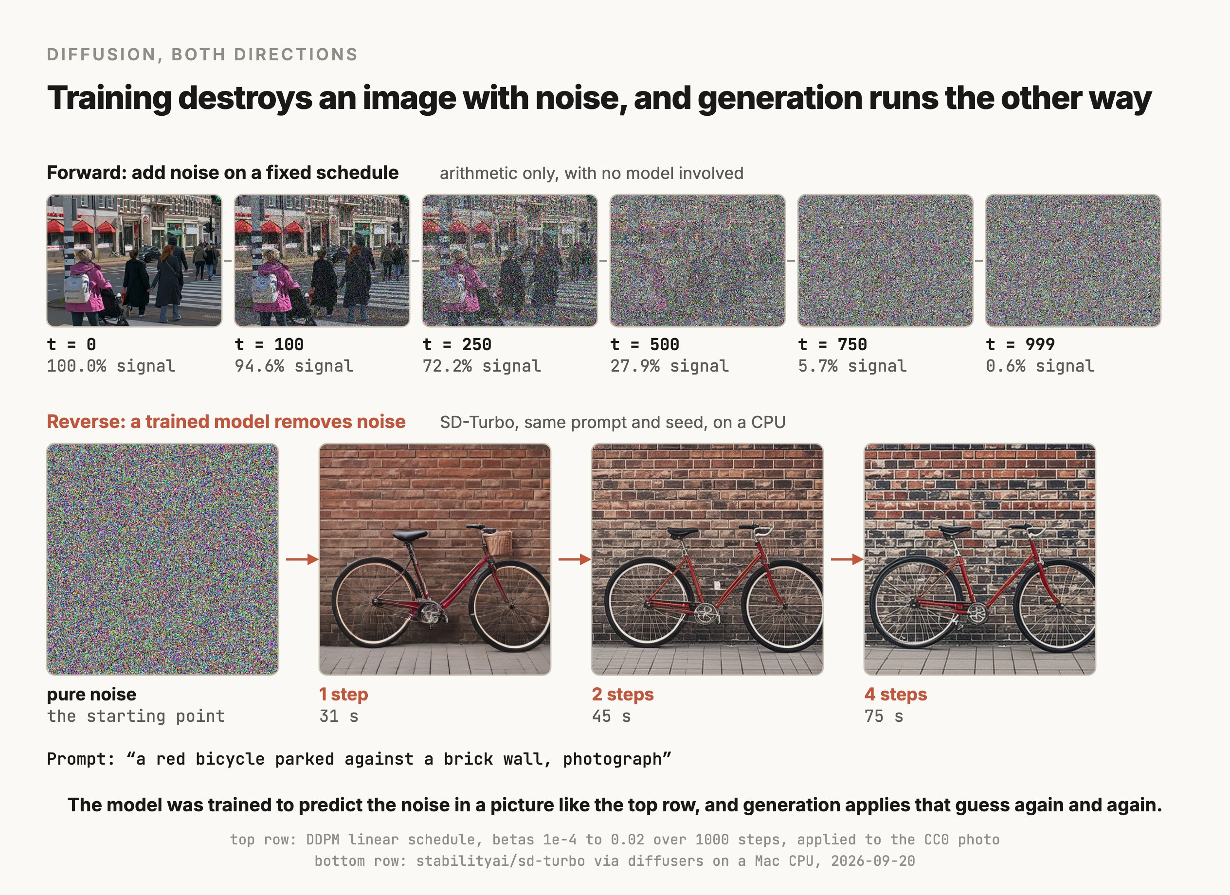 A figure titled "Training destroys an image with noise, and generation runs the other way", in two rows. The top row, labeled "Forward: add noise on a fixed schedule, arithmetic only, with no model involved", shows the same street photo six times at t equals 0, 100, 250, 500, 750 and 999, with the signal remaining falling from 100% to 94.6%, 72.2%, 27.9%, 5.7% and 0.6%, so the last two images look like colored static. The bottom row, labeled "Reverse: a trained model removes noise, SD-Turbo, same prompt and seed, on a CPU", starts from a pure noise square and shows three generated photos of a red bicycle against a brick wall, at 1 step taking 31 seconds, 2 steps taking 45 seconds and 4 steps taking 75 seconds. The prompt was "a red bicycle parked against a brick wall, photograph". The caption says the model was trained to predict the noise in a picture like the top row, and generation applies that guess again and again.