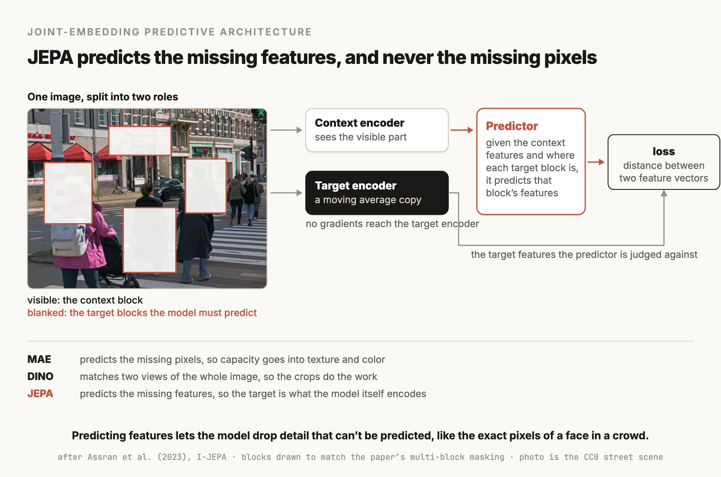 A figure titled "JEPA predicts the missing features, and never the missing pixels". On the left, a street photo is shown with four blanked rectangles outlined in terracotta, labeled visible as the context block and blanked as the target blocks the model must predict. Arrows lead to two boxes: a Context encoder that sees the visible part, and a dark Target encoder described as a moving average copy, with a note that no gradients reach the target encoder. Both feed a Predictor box, which is given the context features and the position of each target block and predicts that block's features. A loss box measures the distance between two feature vectors, with the target encoder's output routed in as the target the predictor is judged against. A strip at the bottom compares three approaches: MAE predicts the missing pixels so capacity goes into texture and color, DINO matches two views of the whole image so the crops do the work, and JEPA predicts the missing features so the target is what the model itself encodes.