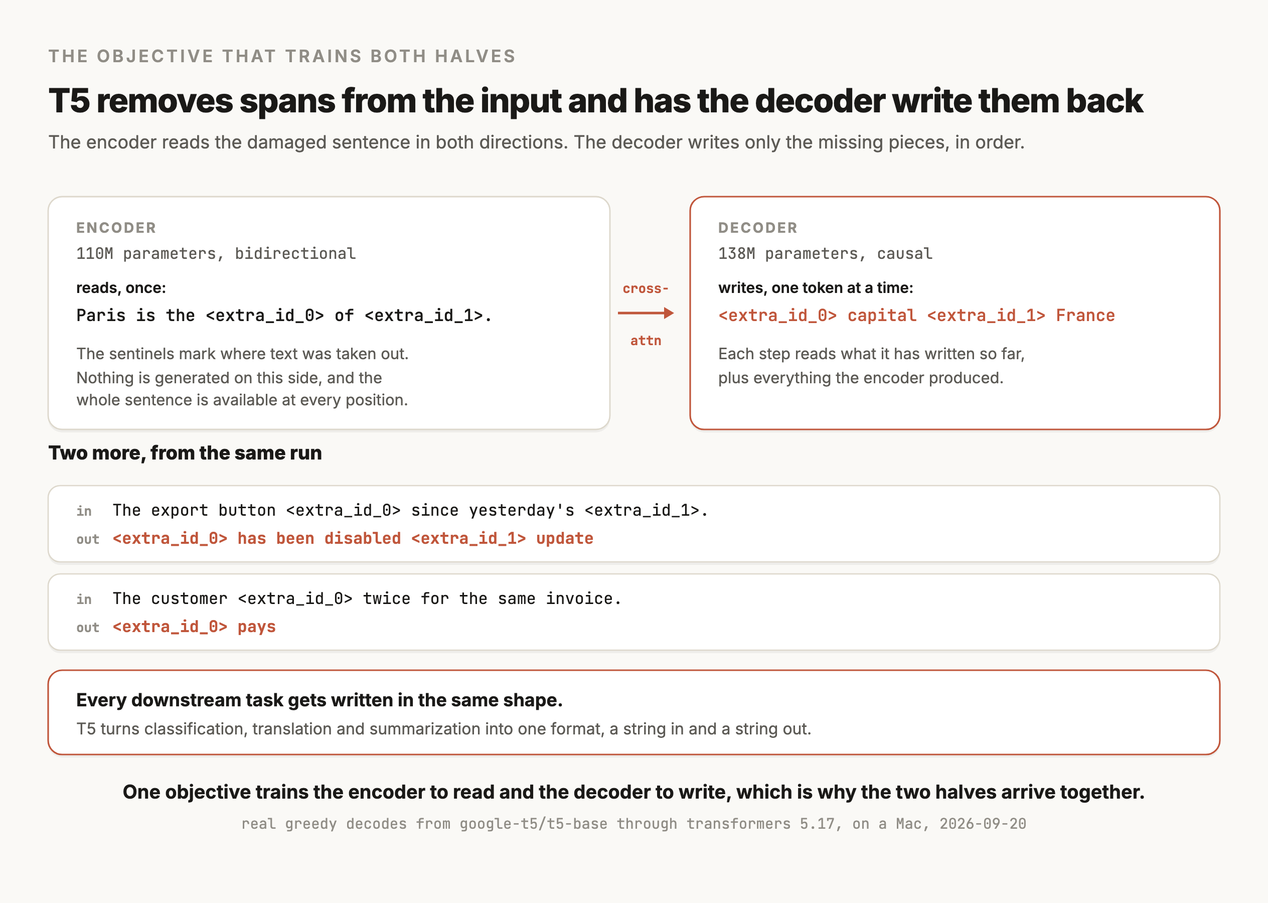 A figure titled "T5 removes spans from the input and has the decoder write them back", in two panels. The encoder panel, at 110M parameters and bidirectional, reads once, taking the input "Paris is the <extra_id_0> of <extra_id_1>." and noting that the sentinels mark where text was taken out, that nothing is generated on this side, and that the whole sentence is available at every position. An arrow labeled cross-attention leads to the decoder panel, at 138M parameters and causal, which writes one token at a time and produces "<extra_id_0> capital <extra_id_1> France", with a note that each step reads what it has written so far plus everything the encoder produced. Below, two more real decodes are shown: the input "The export button <extra_id_0> since yesterday's <extra_id_1>." produces "<extra_id_0> has been disabled <extra_id_1> update", and the input "The customer <extra_id_0> twice for the same invoice." produces "<extra_id_0> pays". A box at the bottom says every downstream task gets written in the same shape, because T5 turns classification, translation and summarization into one format, a string in and a string out. The caption reads: one objective trains the encoder to read and the decoder to write, which is why the two halves arrive together.