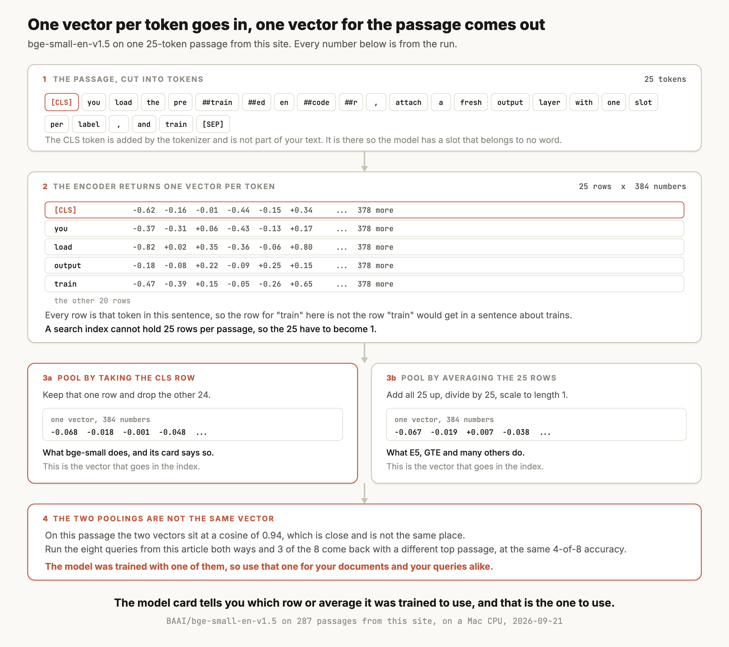 A four-step figure titled "One vector per token goes in, one vector for the passage comes out", from a real run of bge-small-en-v1.5 on one 25-token passage from this site. Step one shows the passage cut into 25 token chips, starting with a CLS chip outlined in terracotta, then you, load, the, pre, and so on through to a separator chip, with the note that the CLS token is added by the tokenizer, is not part of your text, and is there so the model has a slot that belongs to no word. Step two, the encoder returns one vector per token, shows a table of 25 rows by 384 numbers with five real rows printed: CLS begins -0.62, -0.16, -0.01, -0.44, -0.15, +0.34; you begins -0.37, -0.31, +0.06, -0.43, -0.13, +0.17; load begins -0.82, +0.02, +0.35, -0.36, -0.06, +0.80; output begins -0.18, -0.08, +0.22, -0.09, +0.25, +0.15; train begins -0.47, -0.39, +0.15, -0.05, -0.26, +0.65; each with 378 more, and a line for the other 20 rows. It notes that every row is that token in this sentence, and that a search index cannot hold 25 rows per passage, so the 25 have to become 1. Step three splits into two cards. The left one, outlined in terracotta, is pool by taking the CLS row, which keeps that one row and drops the other 24, giving one vector of 384 numbers beginning -0.068, -0.018, -0.001, -0.048, and is what bge-small does. The right one is pool by averaging the 25 rows, which adds all 25 up, divides by 25 and scales to length 1, giving -0.067, -0.019, +0.007, -0.038, and is what E5, GTE and many others do. Both are labelled as the vector that goes in the index. Step four, the two poolings are not the same vector, reports that on this passage the two sit at a cosine of 0.94, that running the eight queries from this article both ways brings back a different top passage for 3 of the 8 at the same 4-of-8 accuracy, and that the model was trained with one of them, so that is the one to use for documents and queries alike. The caption reads: the model card tells you which row or average it was trained to use, and that is the one to use.