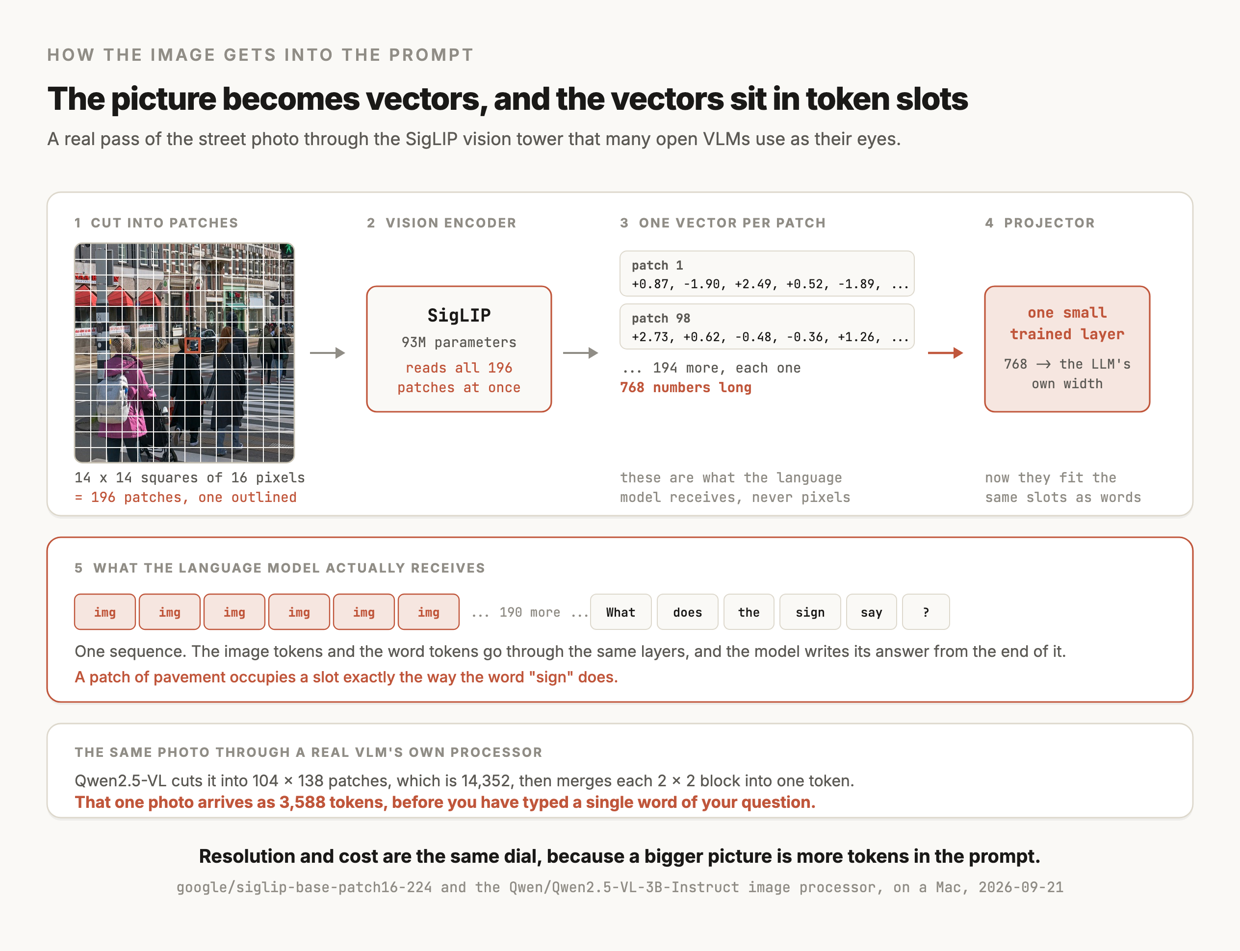 A five-step figure titled "The picture becomes vectors, and the vectors sit in token slots", from a real pass of the street photo through the SigLIP vision tower that many open VLMs use as their eyes. Step one, cut into patches, shows the photo overlaid with a 14 by 14 grid of 16-pixel squares, one square outlined in terracotta, giving 196 patches. Step two, vision encoder, is a SigLIP box at 93M parameters that reads all 196 patches at once. Step three, one vector per patch, shows two real rows. Patch 1 begins +0.87, -1.90, +2.49, +0.52, -1.89 and patch 98 begins +2.73, +0.62, -0.48, -0.36, +1.26, with a note that there are 194 more and each is 768 numbers long, and that these are what the language model receives and never pixels. Step four, projector, is one small trained layer mapping 768 to the language model's own width, so the vectors now fit the same slots as words. A strip below, step five, what the language model actually receives, shows six chips labelled img followed by a note saying 190 more, then the word chips What, does, the, sign, say and a question mark, all in one row. It notes that the image tokens and the word tokens go through the same layers and the model writes its answer from the end of the sequence, and that a patch of pavement occupies a slot exactly the way the word sign does. A final panel says that Qwen2.5-VL, given the same photo, cuts it into 104 by 138 patches, which is 14,352, merges each 2 by 2 block into one token, and so receives that one photo as 3,588 tokens before any question is typed. The caption reads: resolution and cost are the same dial, because a bigger picture is more tokens in the prompt.