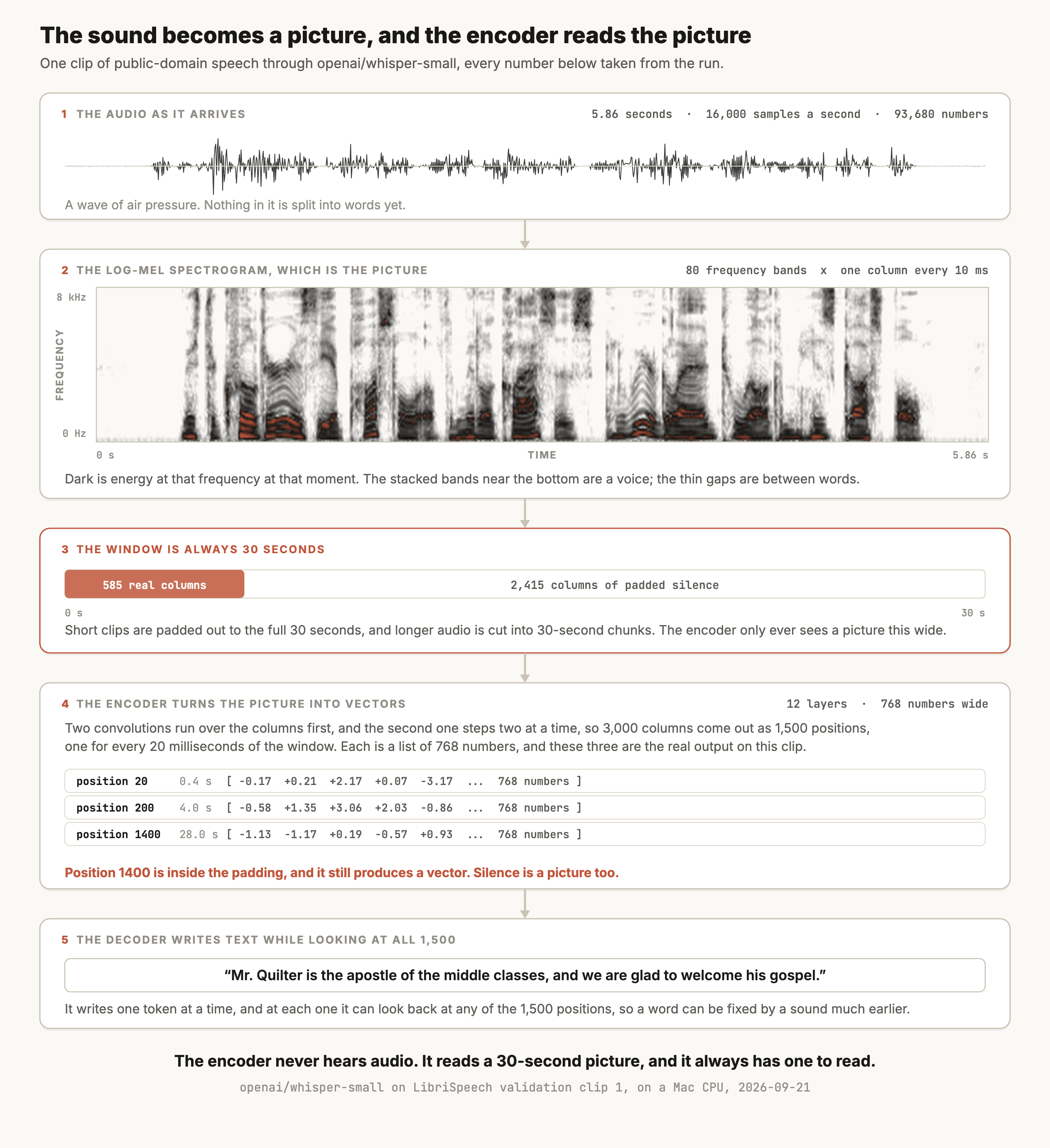 A five-step figure titled "The sound becomes a picture, and the encoder reads the picture", from one public-domain LibriSpeech clip run through openai/whisper-small. Step one, the audio as it arrives, plots the real waveform and notes 5.86 seconds, 16,000 samples a second and 93,680 numbers, with the line: a wave of air pressure, nothing in it is split into words yet. Step two, the log-Mel spectrogram, shows the real spectrogram of that clip, 80 frequency bands from 0 Hz to 8 kHz up the side and time across the bottom, with stacked harmonic bands where the voice is and pale gaps between words. Step three, the window is always 30 seconds, draws a bar in which 585 real columns of speech take up the first fifth and the remaining 2,415 columns are padded silence. Step four, the encoder turns the picture into vectors, explains that two convolutions run over the columns and the second steps two at a time, so 3,000 columns come out as 1,500 positions, one every 20 milliseconds and each 768 numbers wide, and lists three real outputs: position 20 at 0.4 seconds beginning -0.17, +0.21, +2.17, +0.07, -3.17; position 200 at 4.0 seconds beginning -0.58, +1.35, +3.06, +2.03, -0.86; and position 1400 at 28.0 seconds beginning -1.13, -1.17, +0.19, -0.57, +0.93. It notes in terracotta that position 1400 is inside the padding and still produces a vector, because silence is a picture too. Step five, the decoder writes text while looking at all 1,500, shows the transcript it produced, which is Mr. Quilter is the apostle of the middle classes, and we are glad to welcome his gospel. The caption reads: the encoder never hears audio, it reads a 30-second picture, and it always has one to read.